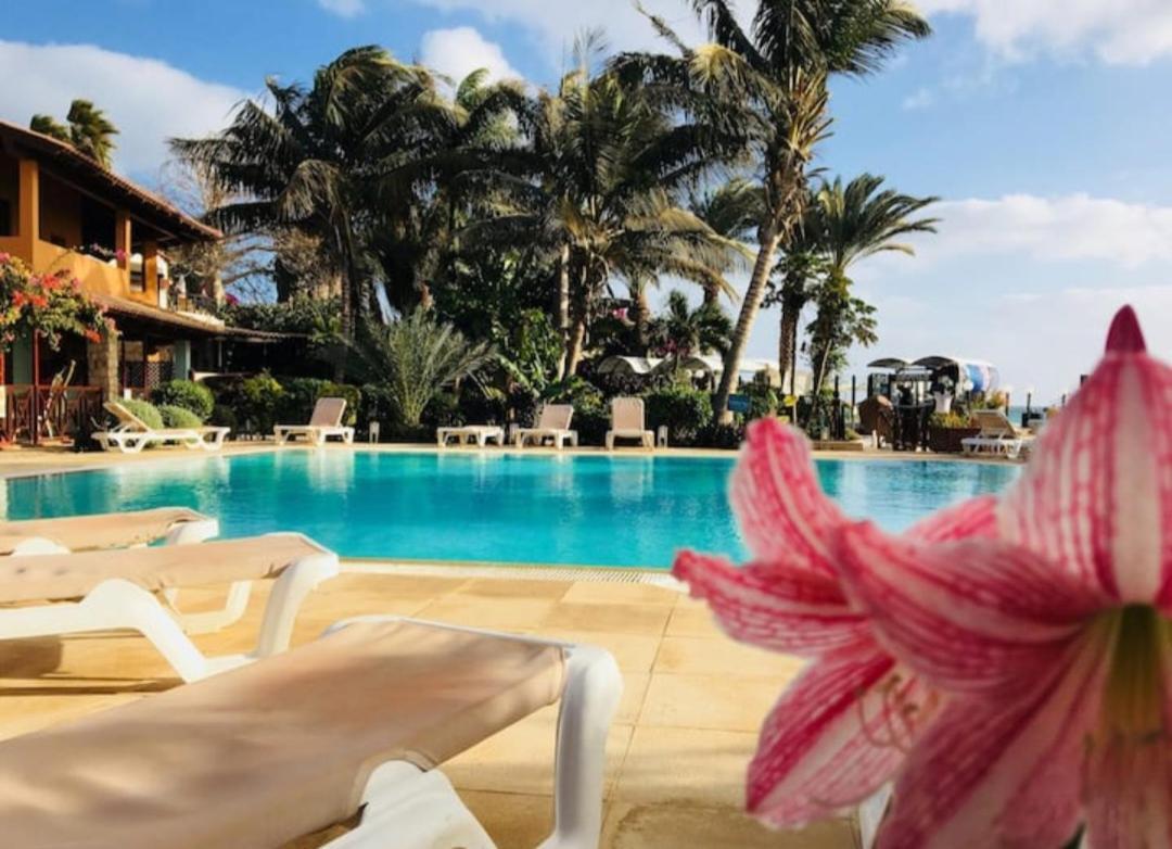 Beach Front Ocean View Porto Antigo2 圣玛丽亚 外观 照片